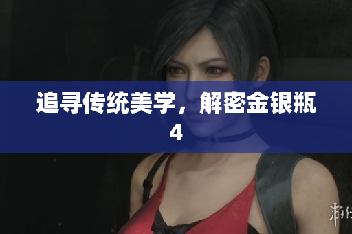 追寻传统美学，解密金银瓶4
