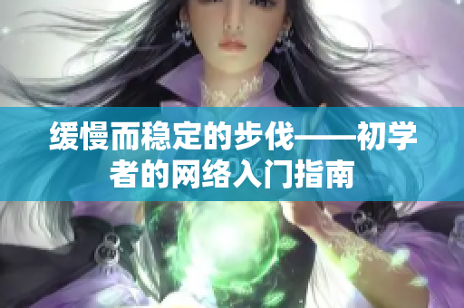 缓慢而稳定的步伐——初学者的网络入门指南