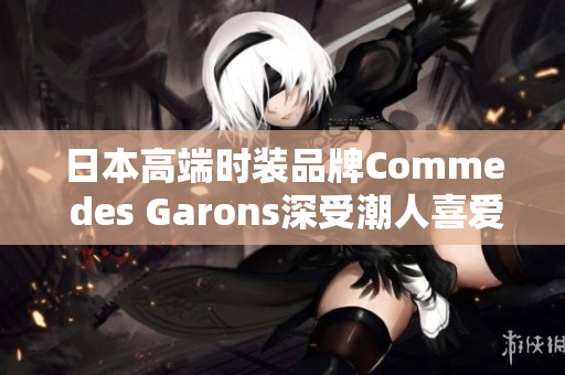 日本高端时装品牌Comme des Garons深受潮人喜爱