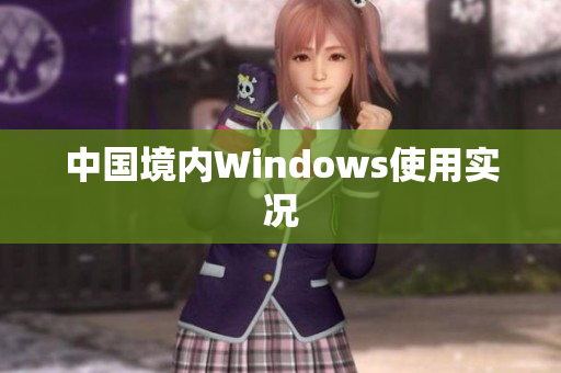 中国境内Windows使用实况