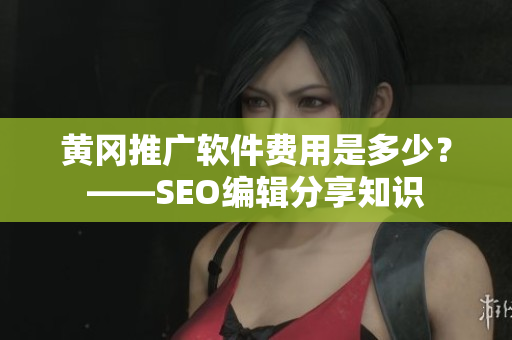 黄冈推广软件费用是多少？——SEO编辑分享知识