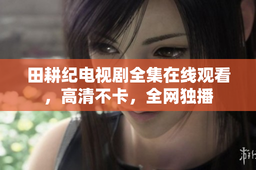田耕纪电视剧全集在线观看，高清不卡，全网独播