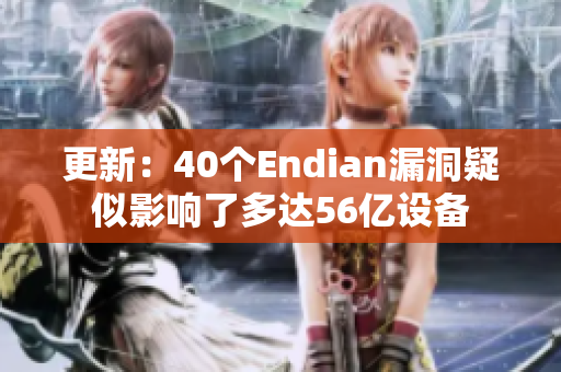 更新：40个Endian漏洞疑似影响了多达56亿设备