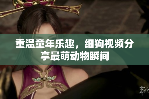 重温童年乐趣，细狗视频分享最萌动物瞬间