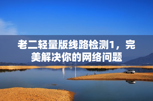 老二轻量版线路检测1，完美解决你的网络问题