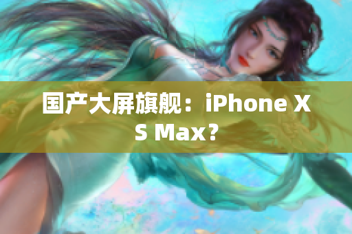 国产大屏旗舰：iPhone XS Max？