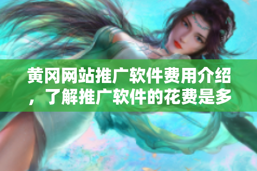 黄冈网站推广软件费用介绍，了解推广软件的花费是多少？