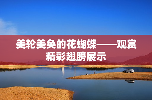 美轮美奂的花蝴蝶——观赏精彩翅膀展示
