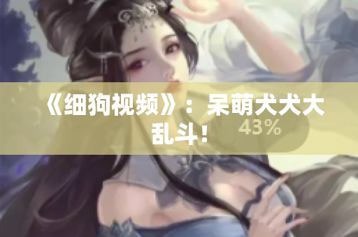 《细狗视频》：呆萌犬犬大乱斗！