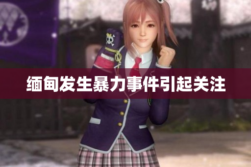 缅甸发生暴力事件引起关注