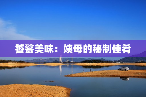 饕餮美味：姨母的秘制佳肴