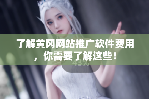 了解黄冈网站推广软件费用，你需要了解这些！