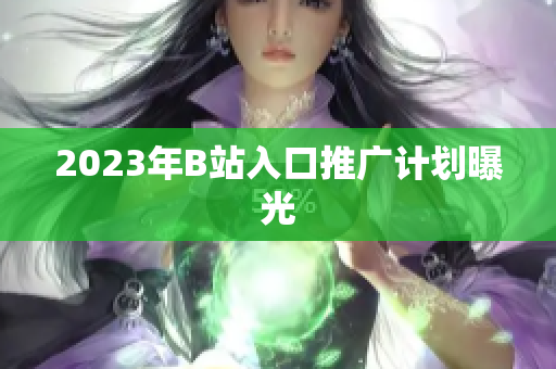 2023年B站入口推广计划曝光