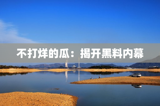不打烊的瓜：揭开黑料内幕