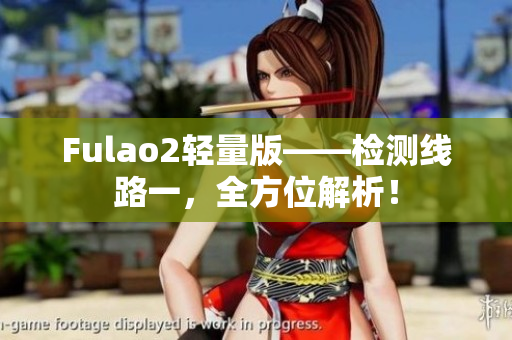 Fulao2轻量版——检测线路一，全方位解析！