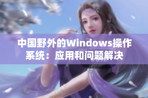 中国野外的Windows操作系统：应用和问题解决