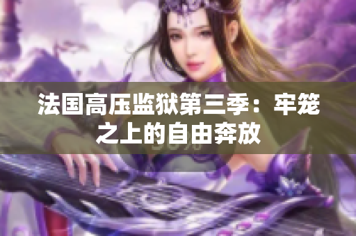 法国高压监狱第三季：牢笼之上的自由奔放