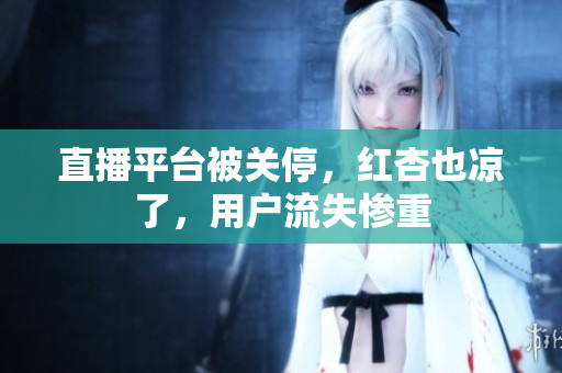 直播平台被关停，红杏也凉了，用户流失惨重