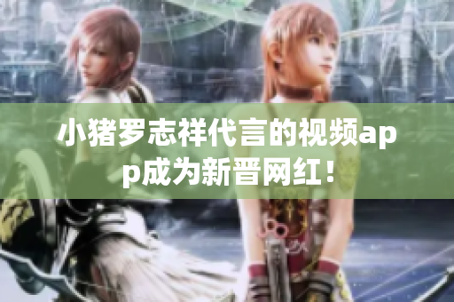 小猪罗志祥代言的视频app成为新晋网红！