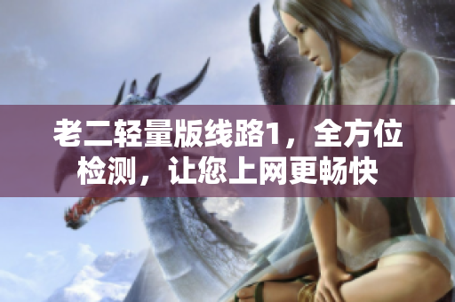 老二轻量版线路1，全方位检测，让您上网更畅快