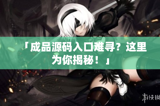 「成品源码入口难寻？这里为你揭秘！」