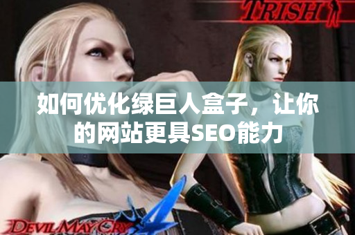 如何优化绿巨人盒子，让你的网站更具SEO能力
