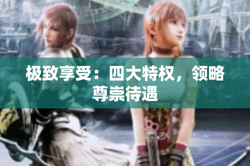 极致享受：四大特权，领略尊崇待遇