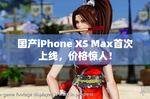 国产iPhone XS Max首次上线，价格惊人！