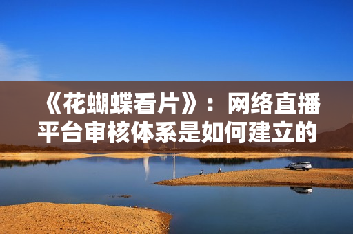《花蝴蝶看片》：网络直播平台审核体系是如何建立的？