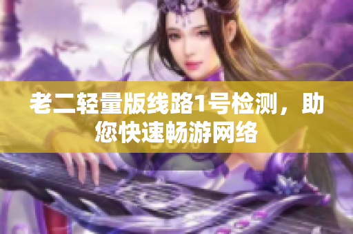 老二轻量版线路1号检测，助您快速畅游网络