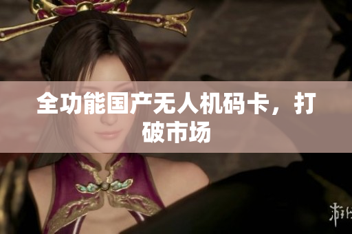 全功能国产无人机码卡，打破市场