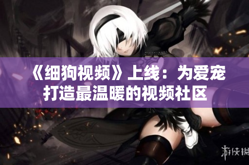 《细狗视频》上线：为爱宠打造最温暖的视频社区