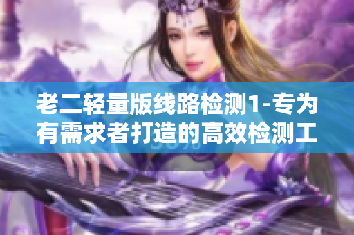 老二轻量版线路检测1-专为有需求者打造的高效检测工具
