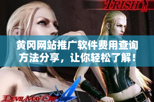 黄冈网站推广软件费用查询方法分享，让你轻松了解！