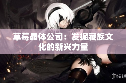 草莓晶体公司：发掘藏族文化的新兴力量