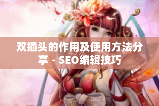 双插头的作用及使用方法分享 - SEO编辑技巧