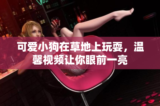 可爱小狗在草地上玩耍，温馨视频让你眼前一亮