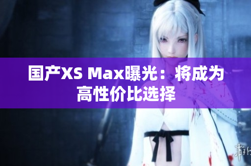 国产XS Max曝光：将成为高性价比选择