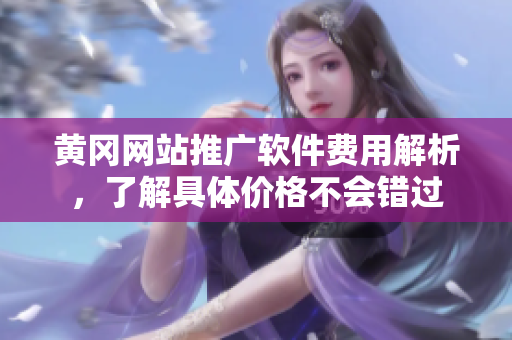 黄冈网站推广软件费用解析，了解具体价格不会错过