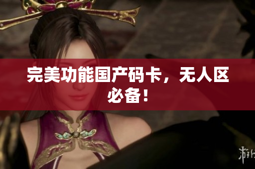 完美功能国产码卡，无人区必备！