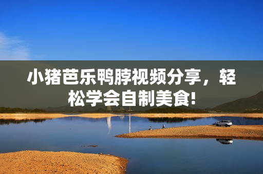 小猪芭乐鸭脖视频分享，轻松学会自制美食!
