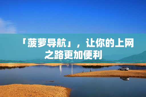 「菠萝导航」，让你的上网之路更加便利