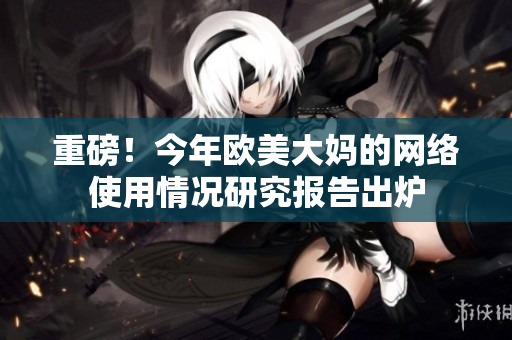 重磅！今年欧美大妈的网络使用情况研究报告出炉