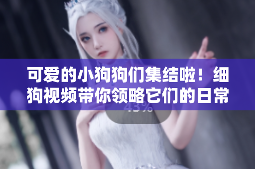 可爱的小狗狗们集结啦！细狗视频带你领略它们的日常
