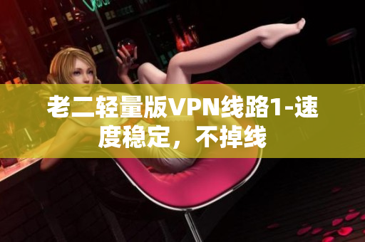 老二轻量版VPN线路1-速度稳定，不掉线