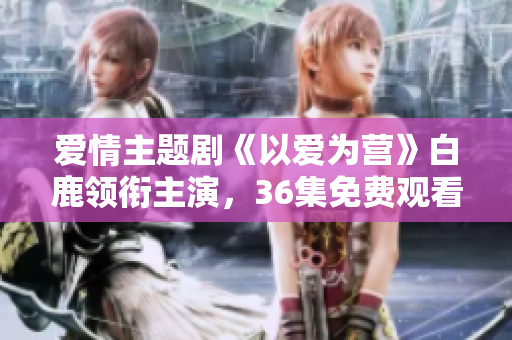 爱情主题剧《以爱为营》白鹿领衔主演，36集免费观看