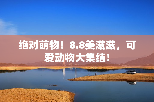 绝对萌物！8.8美滋滋，可爱动物大集结！