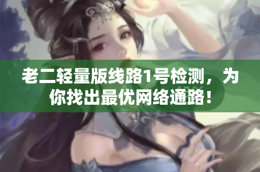 老二轻量版线路1号检测，为你找出最优网络通路！
