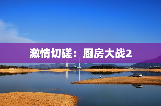 激情切磋：厨房大战2