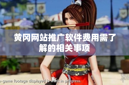 黄冈网站推广软件费用需了解的相关事项